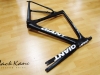 Giant Propel Custom Paint _ kane bicycles