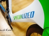specialized shiv custom paint _ white green