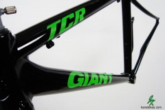 Giant TCR - Glossy Black w. Green Gold Pearl