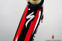 Specialized Roubaix SL4 - Black, Red, White