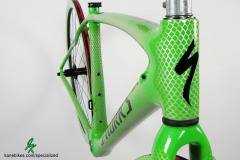 S - Works Roubaix Disc - Green Silver Snake